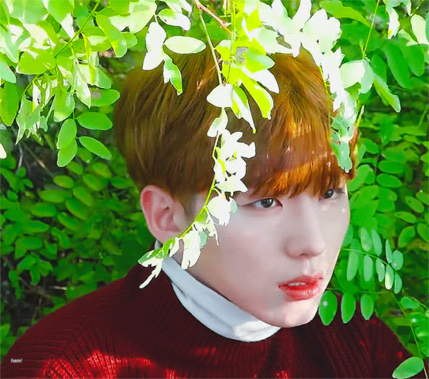 이 날 유기현 청초 갑이다 | 인스티즈