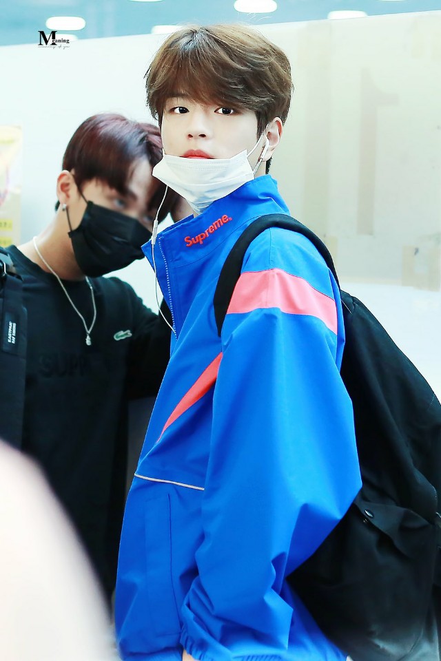 스키즈 승민.. 진짜 너무너무귀엽다 댕댕이 | 인스티즈