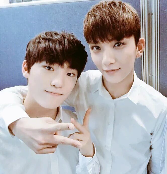 세븐틴 조슈아 손 진짜 개큼ㅋㅋㅋㅋㅋㅋㅋㅋㅋㅋ | 인스티즈