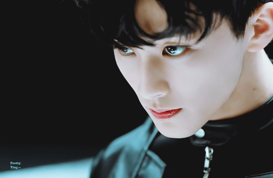 울 애옹이 보고싶다 | 인스티즈