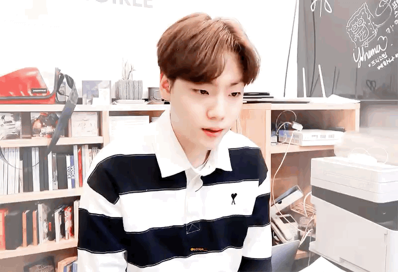 아니다 이션은 햄찌다🐹 | 인스티즈