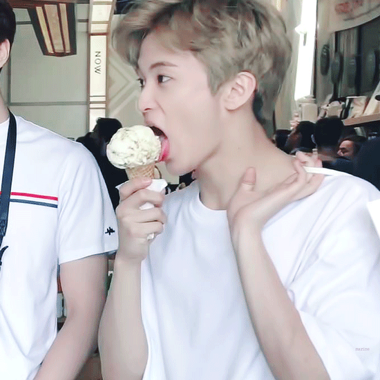 울 애옹이 보고싶다 | 인스티즈