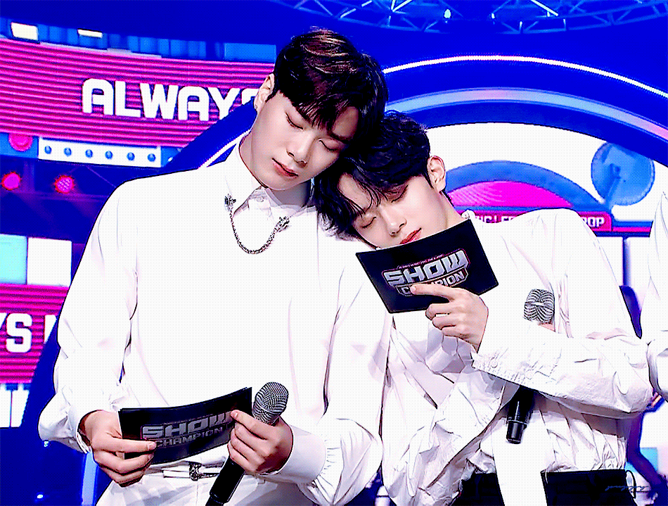 이거 완저니 그거 아니냐 대형견이랑 소형견 | 인스티즈