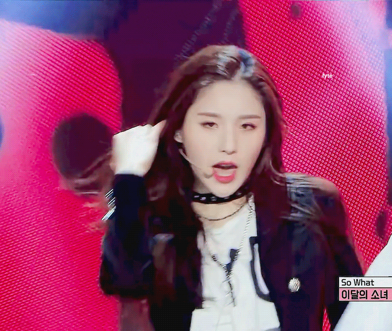 짱달소 모음 (짤 진짜진짜 많음) | 인스티즈