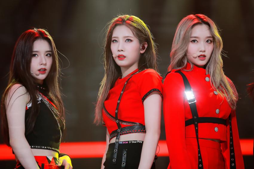 짱달소 모음 (짤 진짜진짜 많음) | 인스티즈