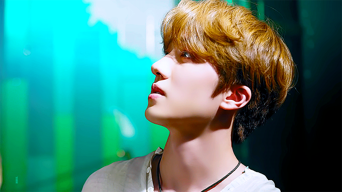 왕 나 슾구얼굴만 보다가 뱀 살아있던거 지금 봄 | 인스티즈