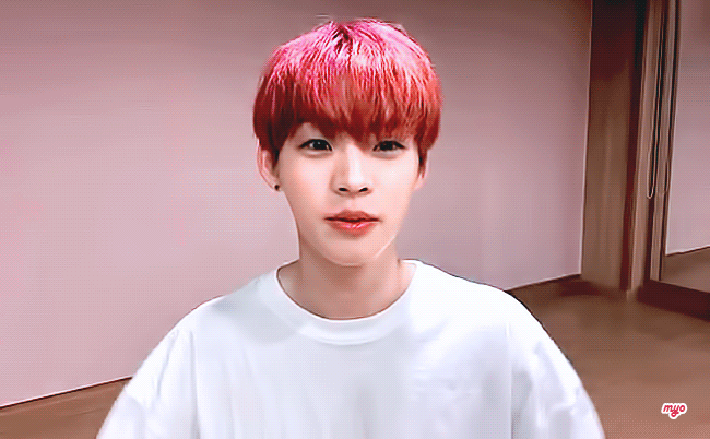 퓨즈들 들어오지마 | 인스티즈