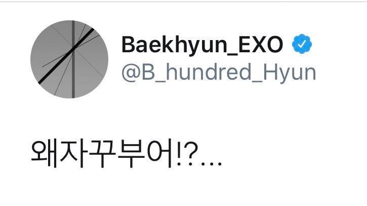 종종 트위터 실트로 대화를 나누는 백현과 엑소팬들.jpg | 인스티즈