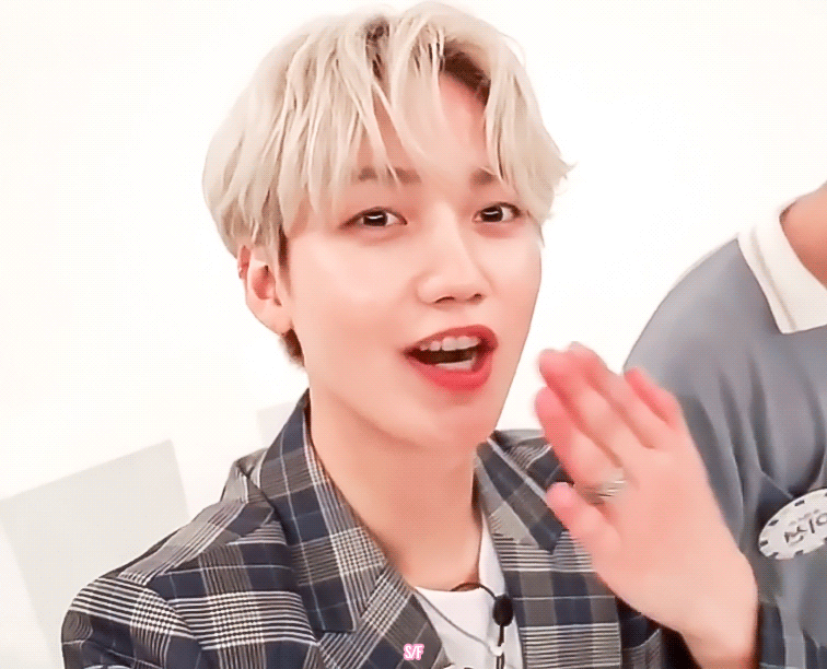 울 말티쥬 귀엽지???!?! | 인스티즈