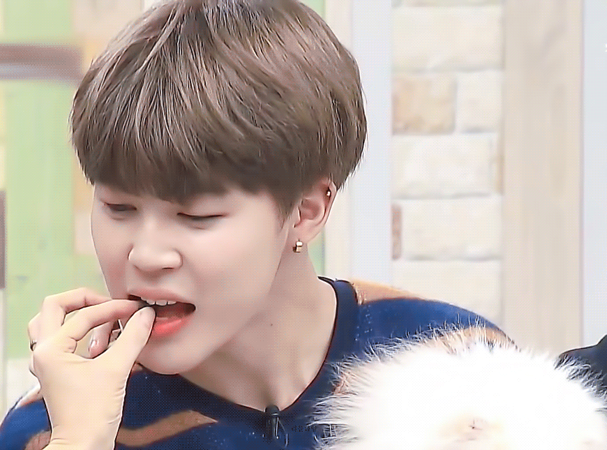 방탄 예능 나갔는데 강아지 사료 먹여가지고 지민이 표정 봐ㅋㅋㅋㅋㅋ | 인스티즈