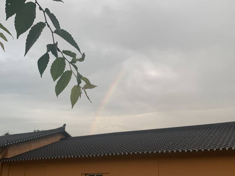 오늘 우리집 멍뭉이 무지개 다리 건넜는데 | 인스티즈