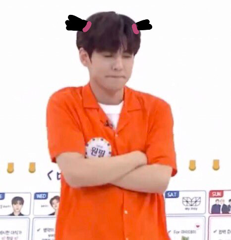 많게는 1달에 한번, 적어도 4개월에 한번 콘서트 하던 그룹을 파더니 데이식스 팬들 | 인스티즈