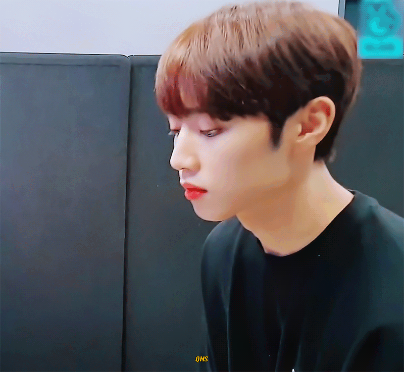 아 최수종너구리 또왔어 | 인스티즈