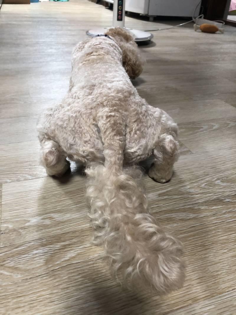 이건 무슨자세일까 | 인스티즈