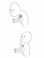 이 짤 보는 사람들 공통점 | 인스티즈