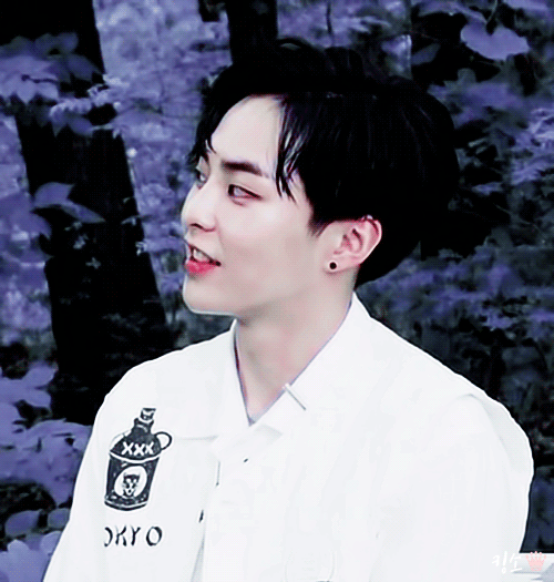 대충 엑소 자랑한다는 글 (사진 🐶많음) | 인스티즈