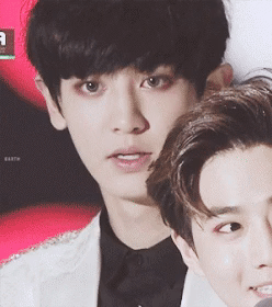 대충 엑소 자랑한다는 글 (사진 🐶많음) | 인스티즈