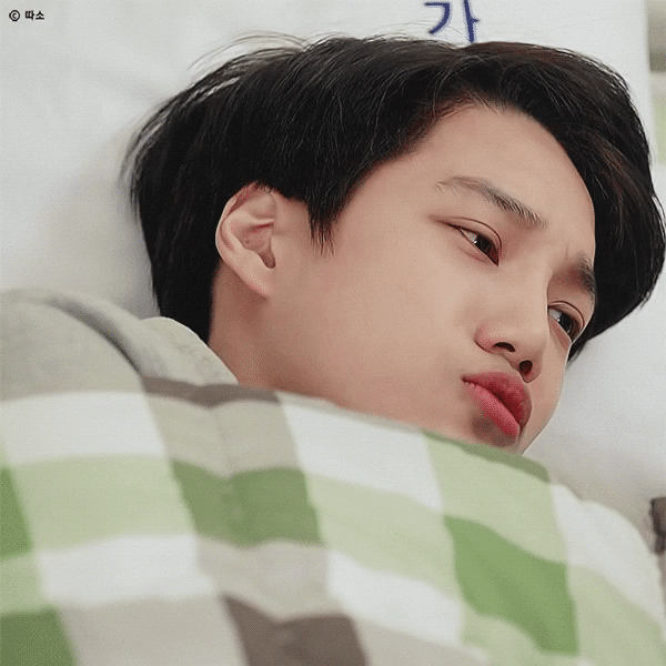 대충 엑소 자랑한다는 글 (사진 🐶많음) | 인스티즈