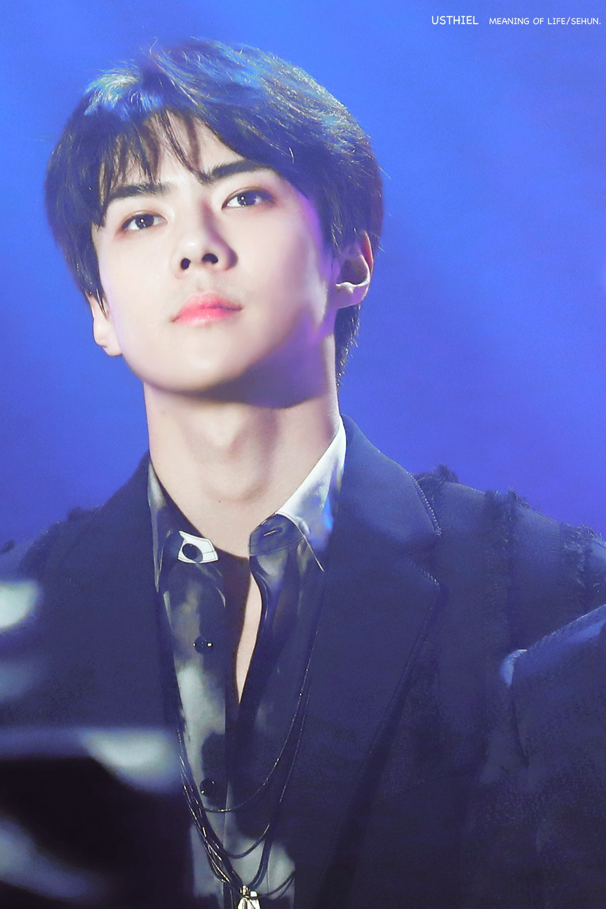 대충 엑소 자랑한다는 글 (사진 🐶많음) | 인스티즈