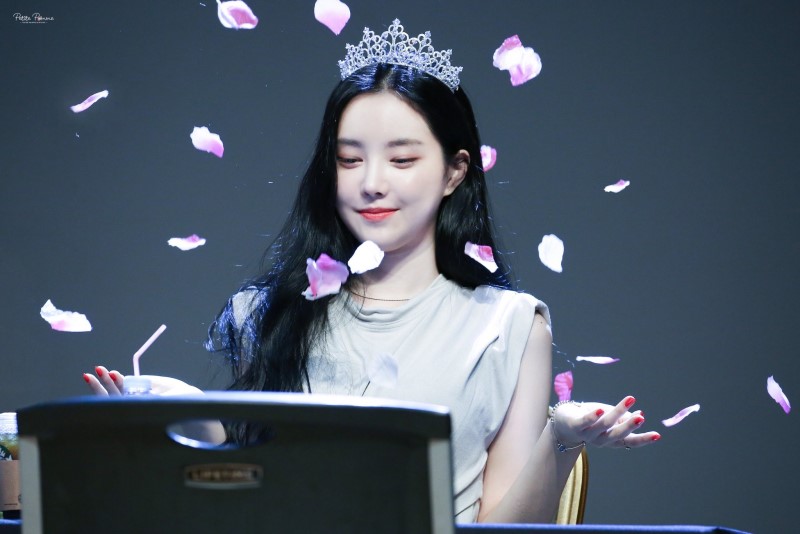 와 내기준 팬싸 레전드 (ㅈㅇ손나은) | 인스티즈