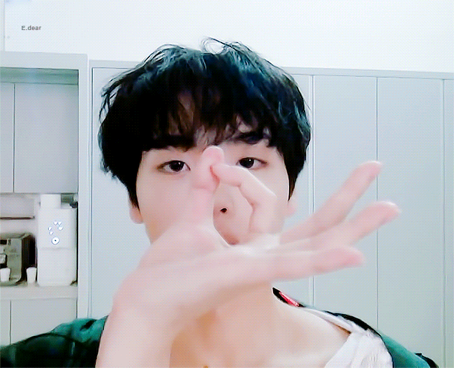 본진내 강아지들 누구야?! 🐶 | 인스티즈