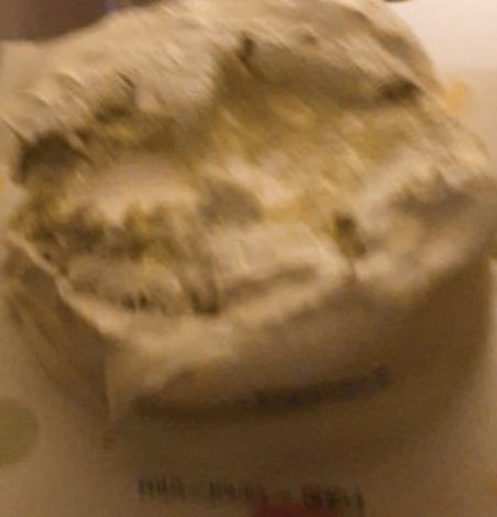 마크 생일 기념 마크가 좋아하는 케이크를 위해 노력한 멤바들 | 인스티즈