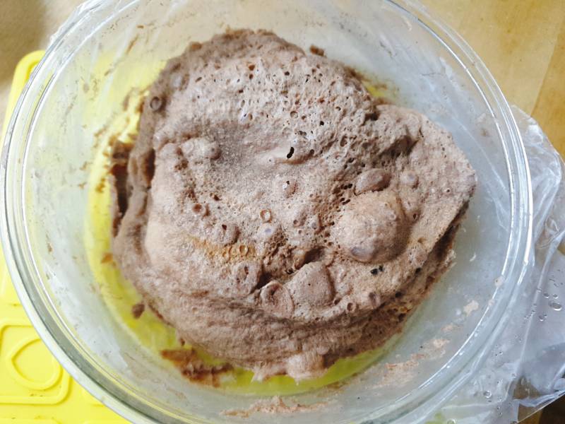 내 프로틴빵.. | 인스티즈