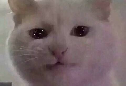 하루 7시간씩 8월 한달 편의점 알바 간응...? | 인스티즈