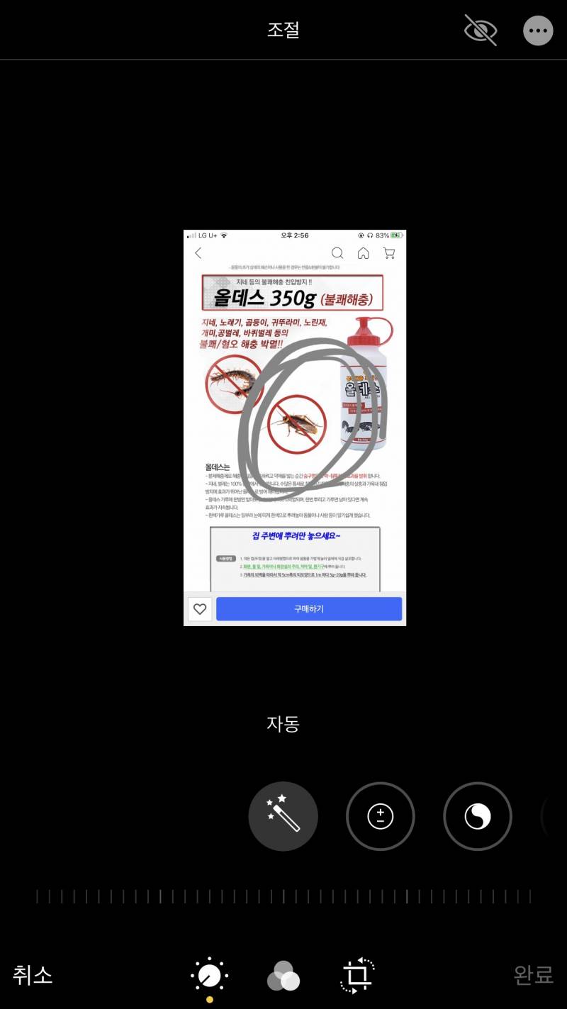 익들 이거 바퀴야? | 인스티즈