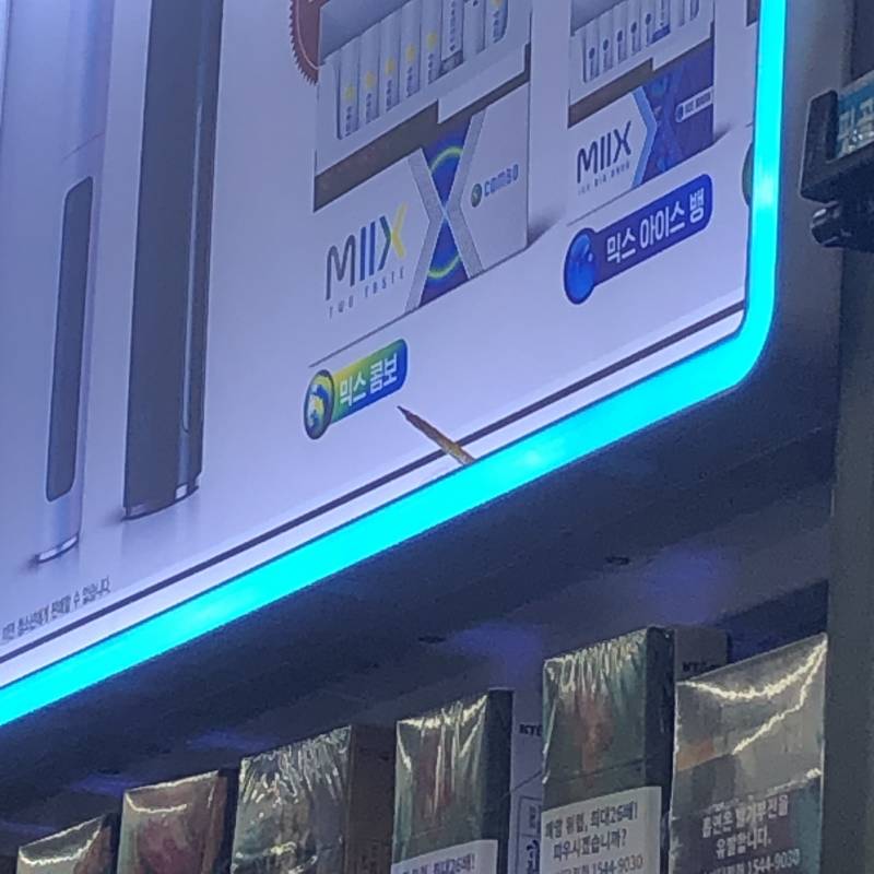 익들아 나 살려줘ㅠㅠㅠㅠㅠㅠㅠ잠자리 매장에 들어옴,,, | 인스티즈