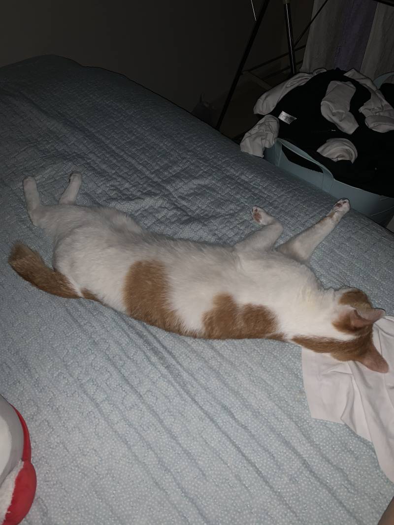 아주 지 침대지? 참나 | 인스티즈