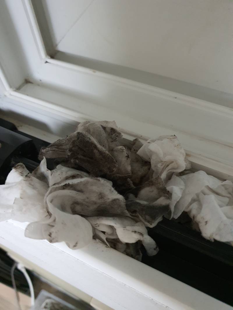 오랜만에 창틀 닦았는데(ㅎㅇㅈㅇ) | 인스티즈