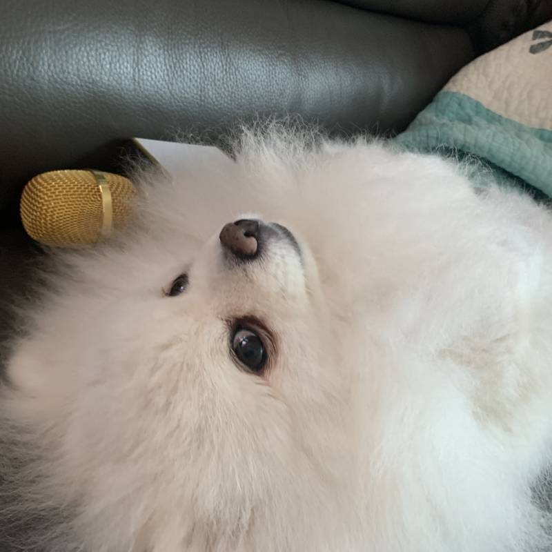 우리 집 호빵 키운다!! 너네 호빵 키우는 사람 본 적 이ㅛ어?! 4040 | 인스티즈