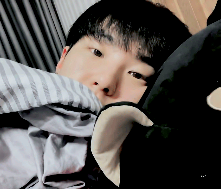 승철아 실망이다 호랭이라니 | 인스티즈