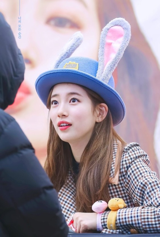 내가 알고 있는 토끼들🐰🐇 | 인스티즈