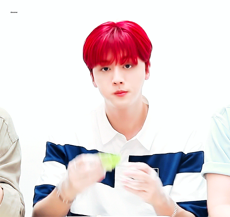 내가 알고 있는 토끼들🐰🐇 | 인스티즈