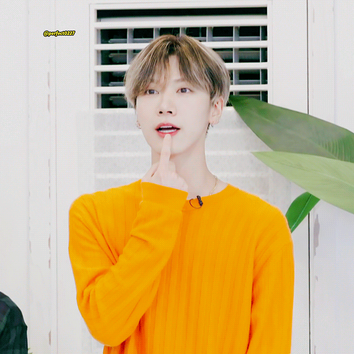 텐은 고양이야 | 인스티즈