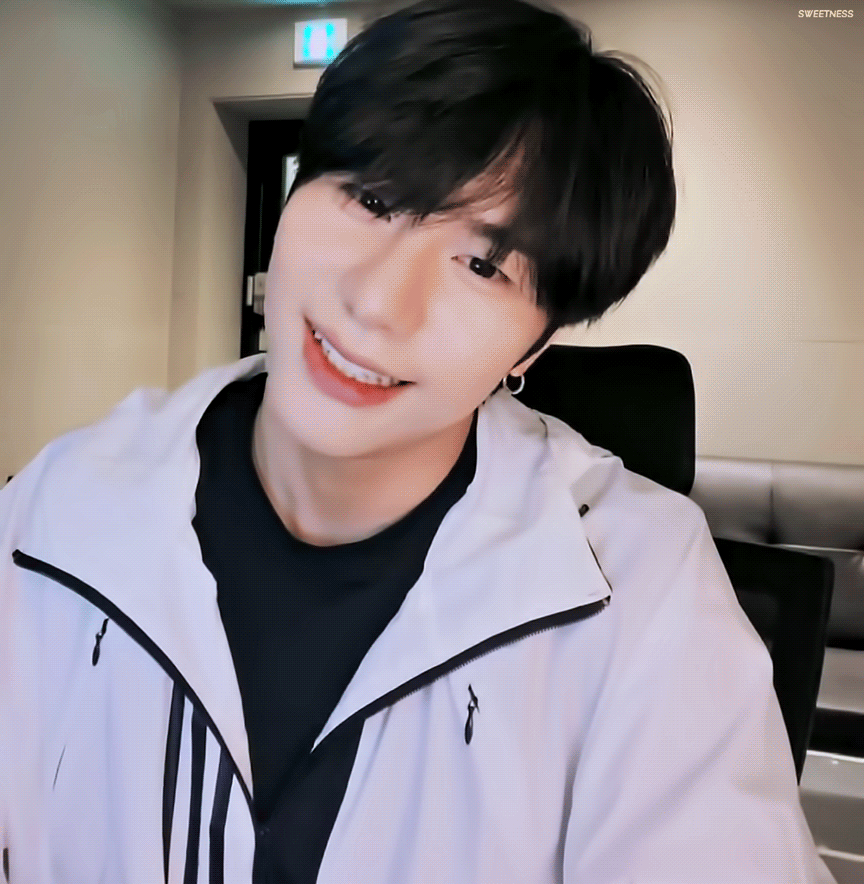 포슬포슬 강아지 | 인스티즈