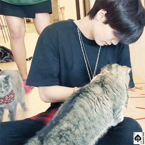 뉴종현이 진짜 동물 좋아하나? | 인스티즈