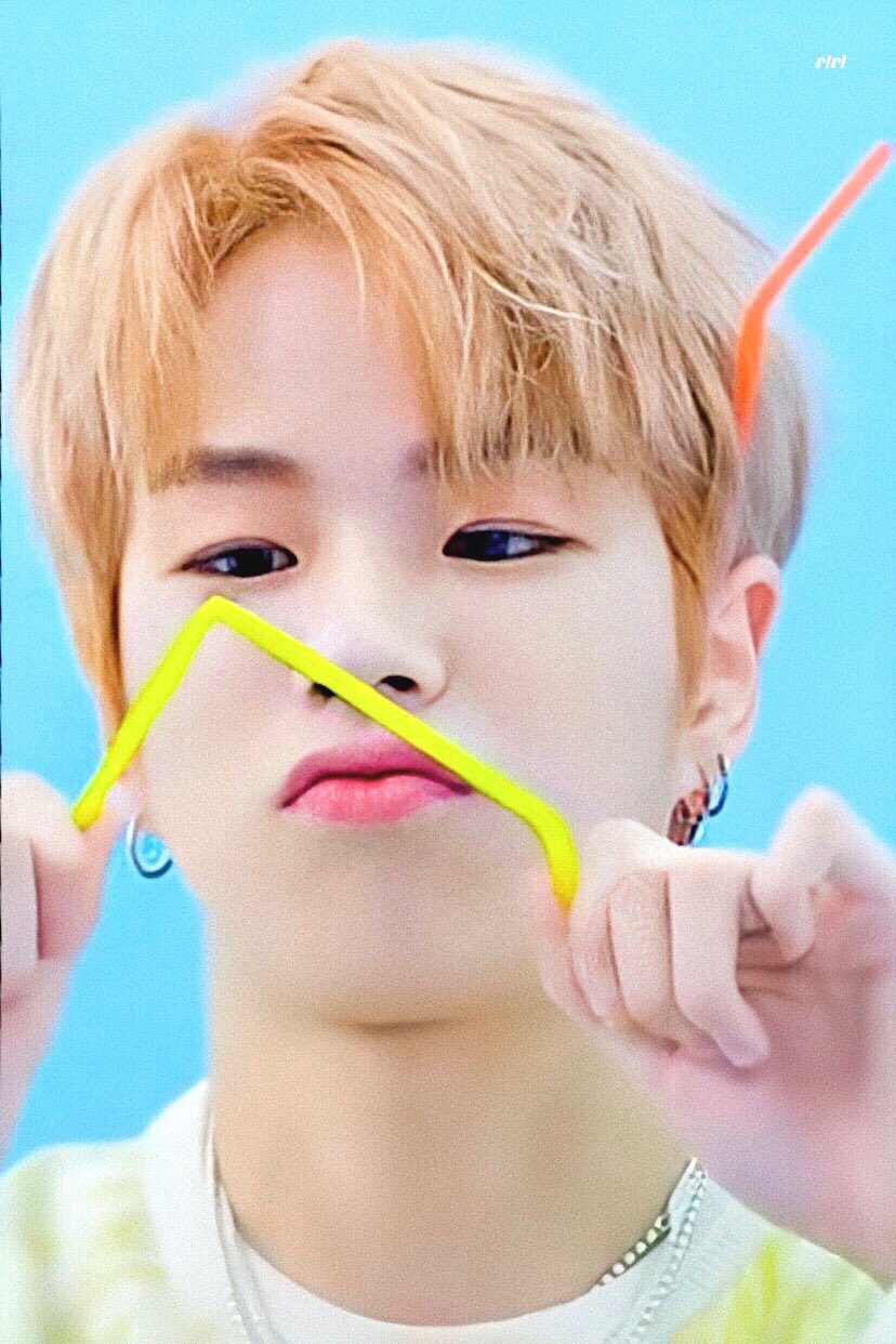 트레저 말랑뽀짝 댕댕이 차우차우 보고갈 사람 | 인스티즈