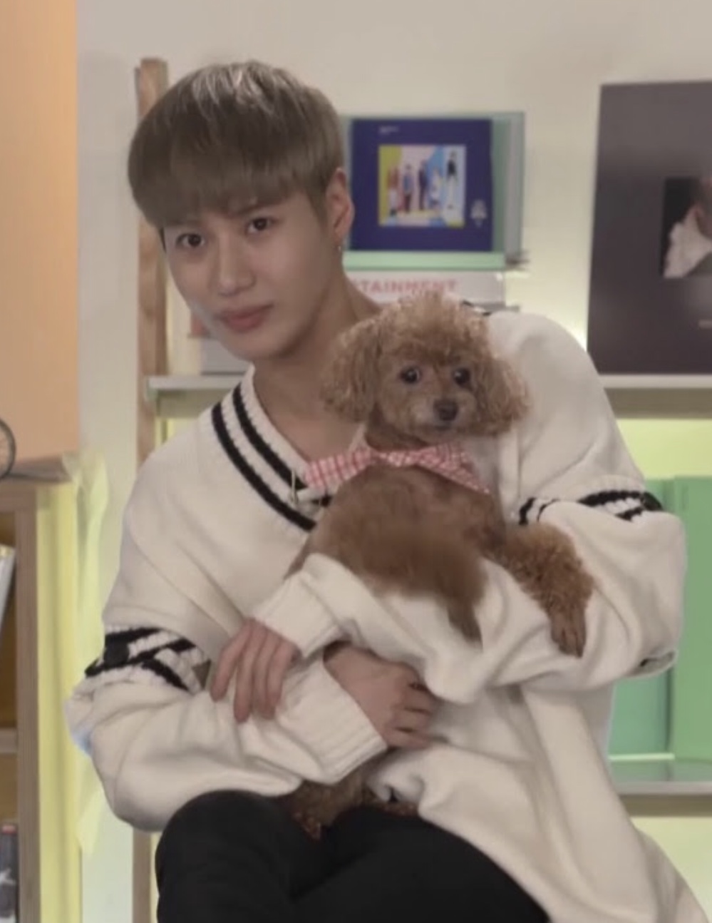 강아지가 주인 몸으로 들어온 듯한 | 인스티즈