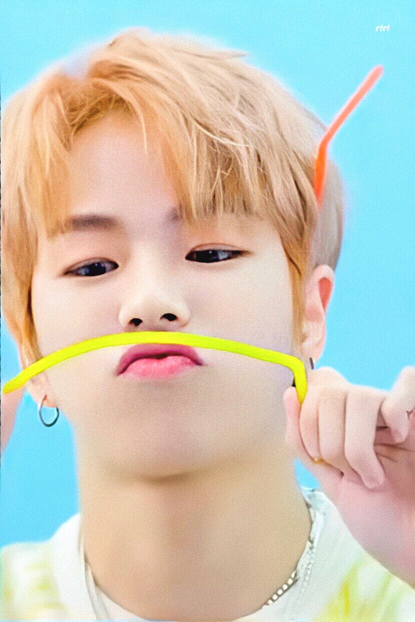 트레저 말랑뽀짝 댕댕이 차우차우 보고갈 사람 | 인스티즈