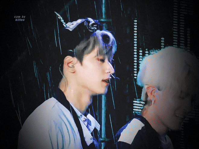 다들.. 더우시죠..?인간아이스박스 우리애 얼굴 한번만 보고가세요.. | 인스티즈