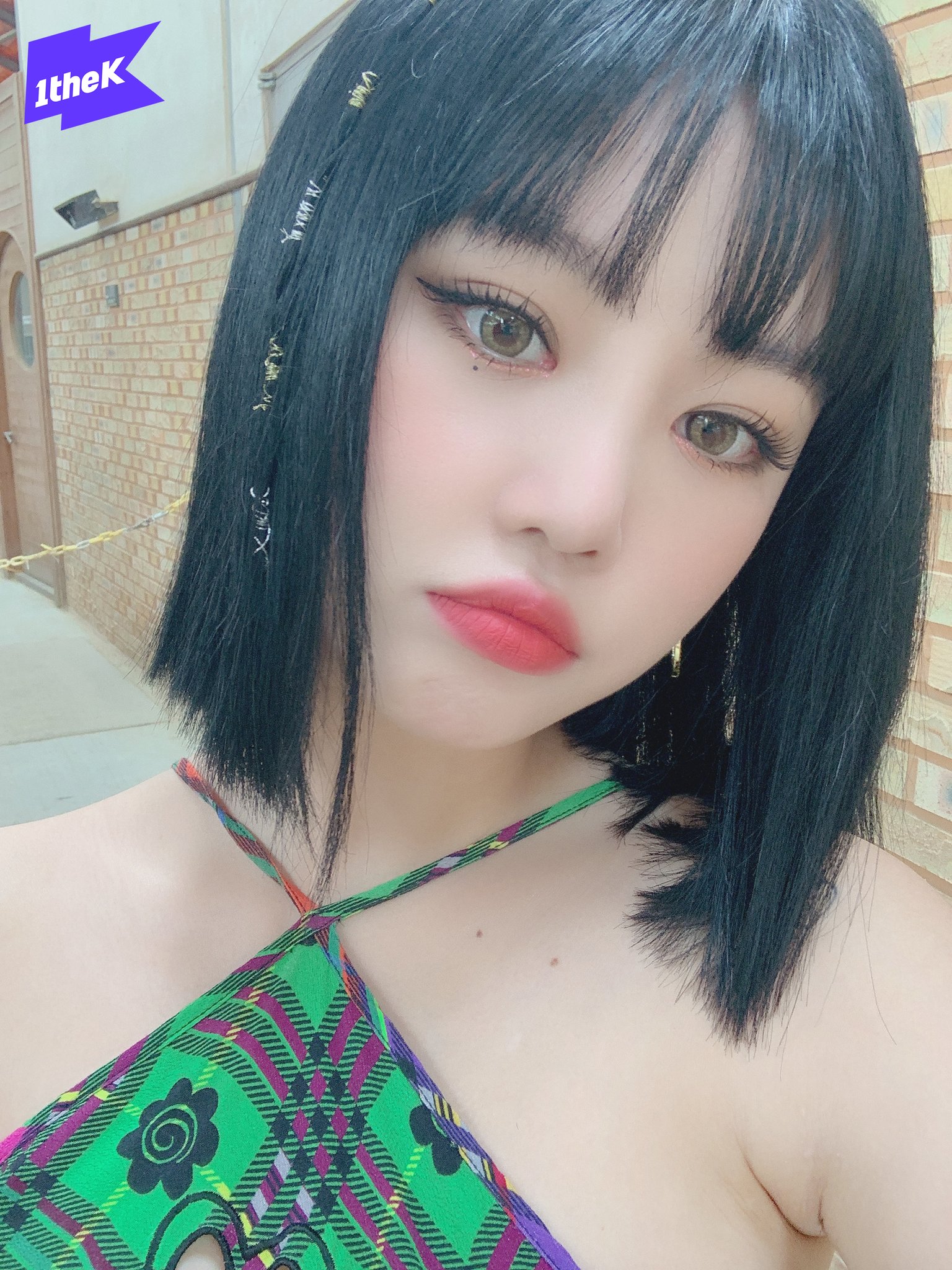 우리집 🐱 | 인스티즈