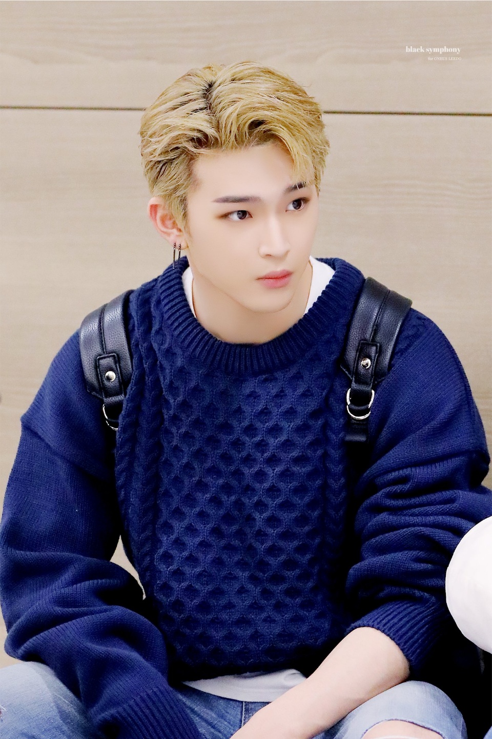 나 대형견 멍뭉이상 좋아하는데 | 인스티즈