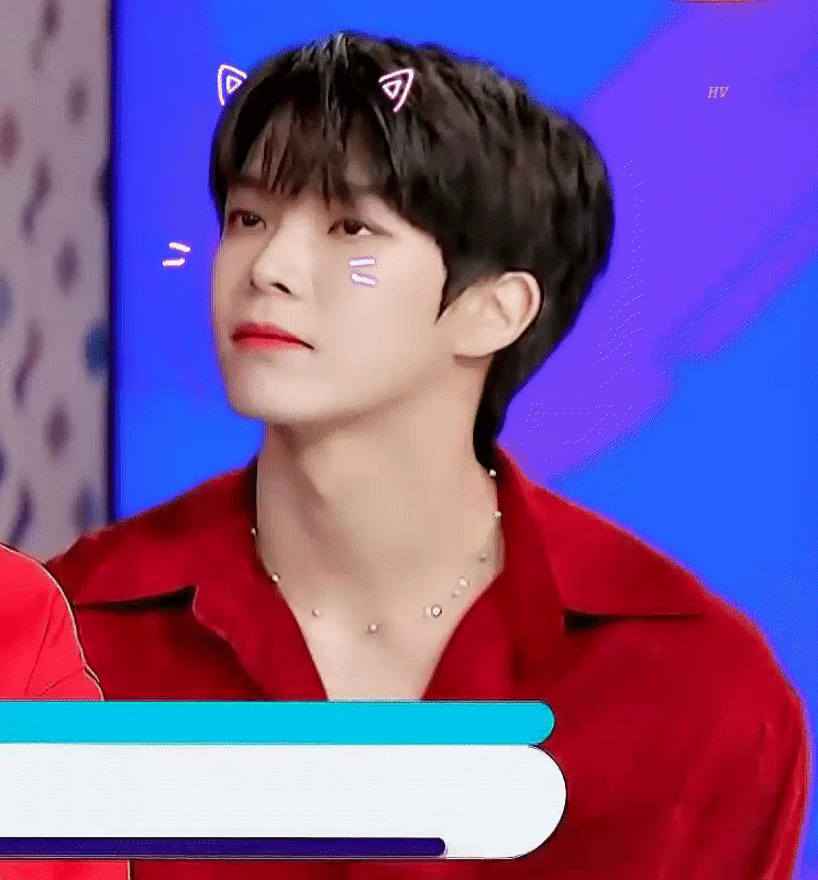 큰방에 베리베리들 있나 hoxy | 인스티즈