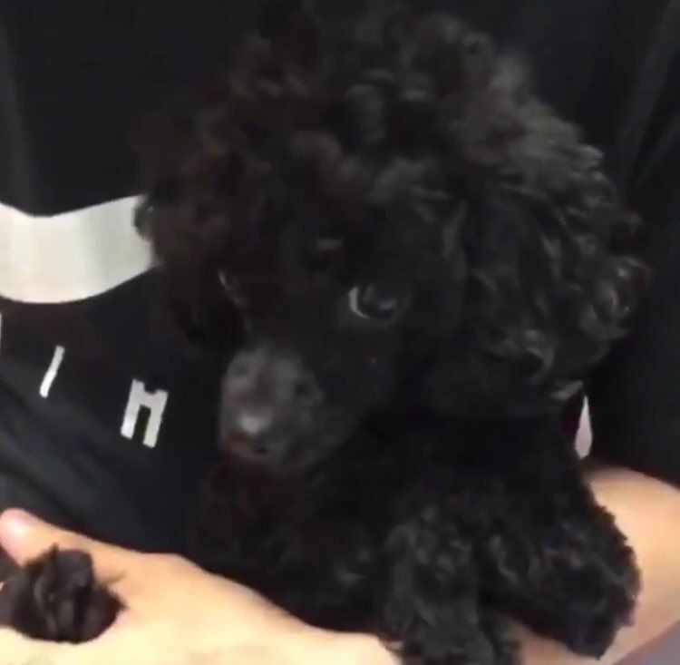 너네 집에 경수 없지? | 인스티즈