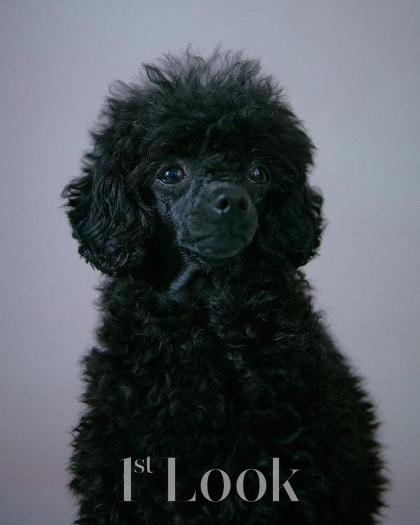 너네 집에 경수 없지? | 인스티즈