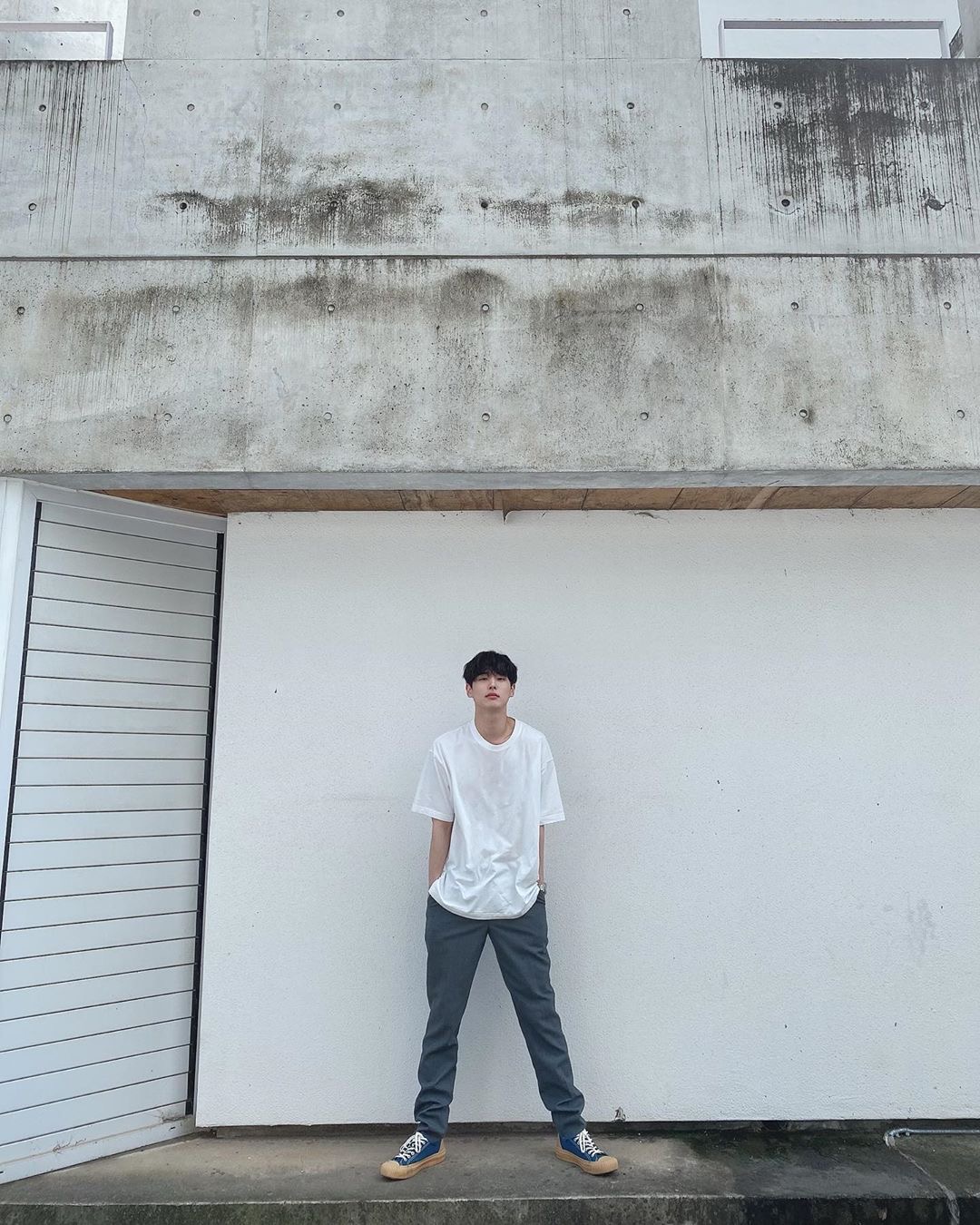 강아지 날씨 타는거 너무 귀엽다 진짜 | 인스티즈