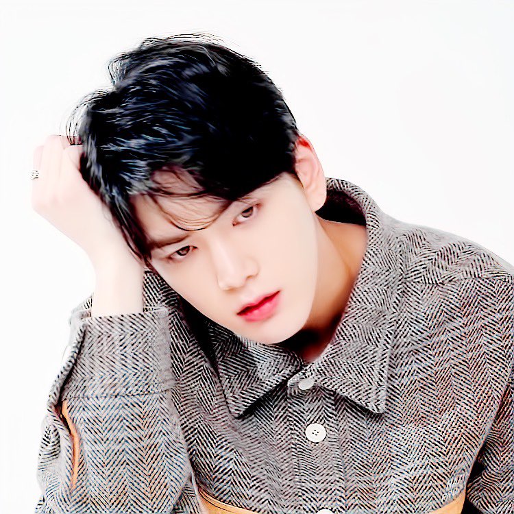 사라진 강아지를 찾습니다... | 인스티즈